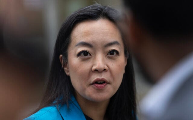 Democratic Wisconsin Gubernatorial candidate Francesca Hong speaks to reporters after voting in the primary election on August 11, 2026 in Madison, Wisconsin. (Scott Olson/Getty Images/AFP)