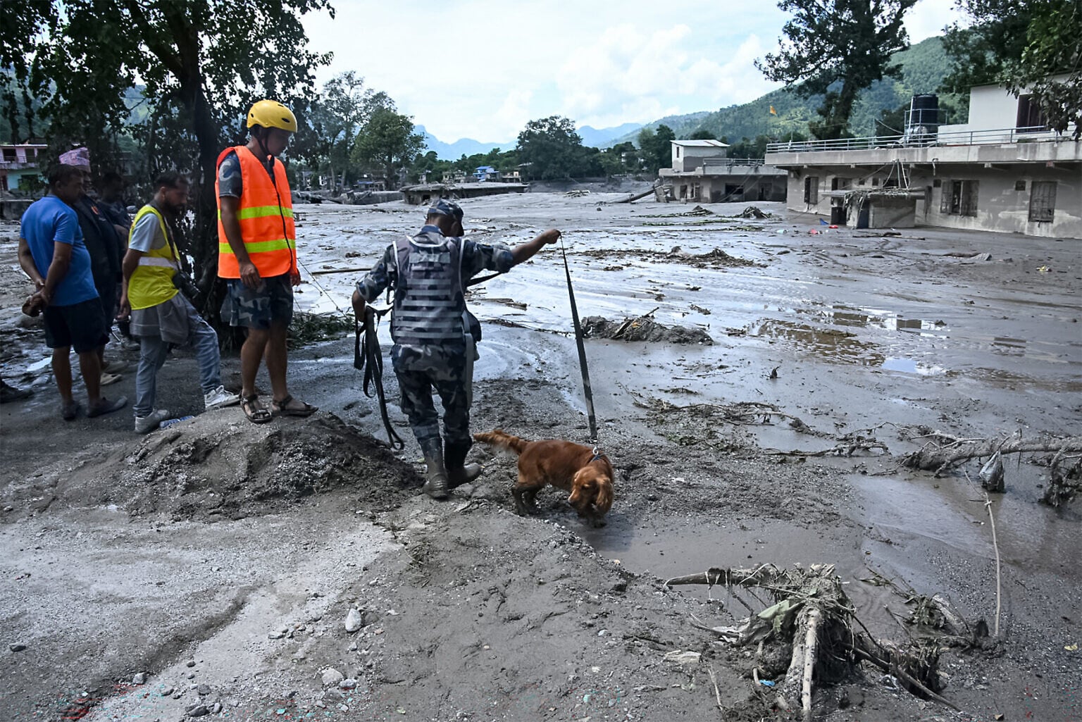 A member of the security forces and his sniffer dog search for survivors following flash floods at Trishuli in Nepal’s Nuwakot district on August 27, 2026. (Prakash MATHEMA/AFP)