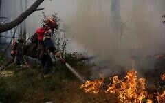 Firefirghters operate during a wildfire near Porto Germeno, north-west of Athens, Greece, August 1, 2026. (AP Photo/Michael Varaklas)