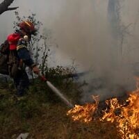 Firefirghters operate during a wildfire near Porto Germeno, north-west of Athens, Greece, August 1, 2026. (AP Photo/Michael Varaklas)