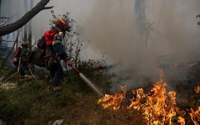 Firefirghters operate during a wildfire near Porto Germeno, north-west of Athens, Greece, August 1, 2026. (AP Photo/Michael Varaklas)