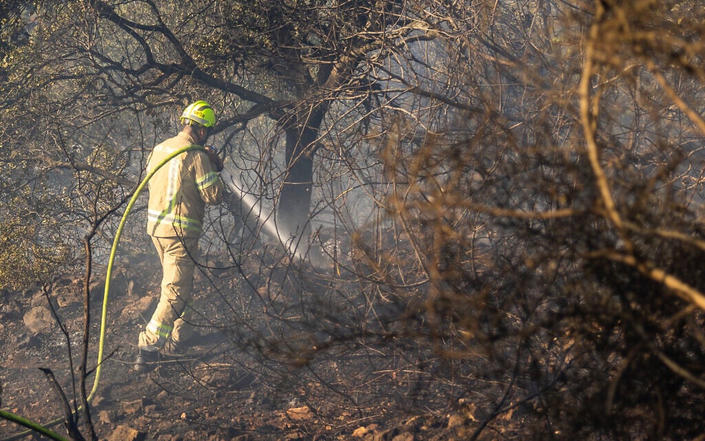 Firefighters try to extinguish a wildfire in Moshav Ksalon, August 2, 2026. (Oren Ben Hakoon/Flash90) Firefighters try to extinguish a wildfire in Moshav Ksalon, August 2, 2026. (Oren Ben Hakoon/Flash90)