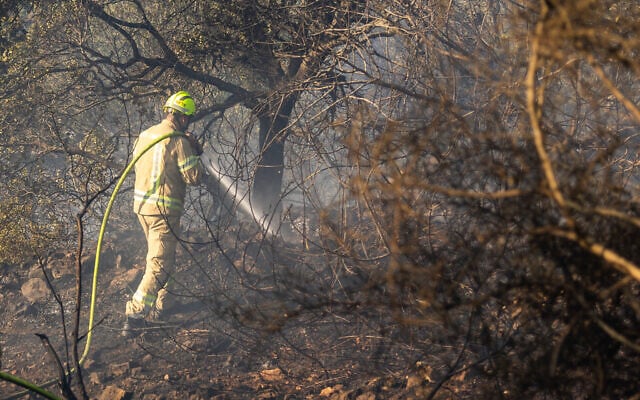 Firefighters try to extinguish a wildfire in Moshav Ksalon, August 2, 2026. (Oren Ben Hakoon/Flash90)