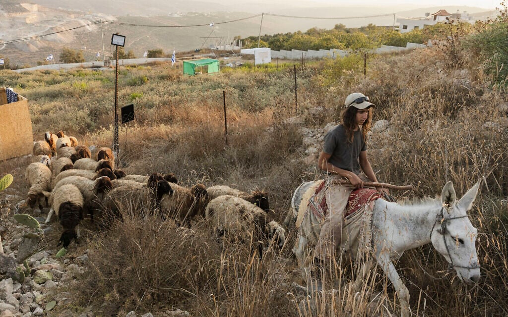 Israeli settlers at a newly established outpost at the site of the deadly attack in which Benayahu Mellet and IDF Major Yuval Ezra were killed, near the Israeli settlement of Havat Gilad in the West Bank, August 4, 2026. (Hilel Ben Or/Flash90)