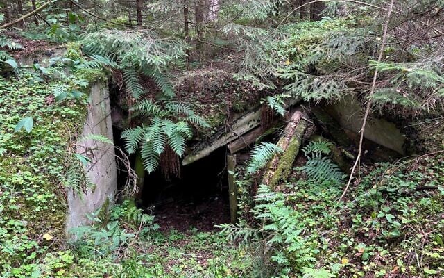 A partisan bunker is seen in Rudninkai Forest. (Shira Li Bartov/ JTA)