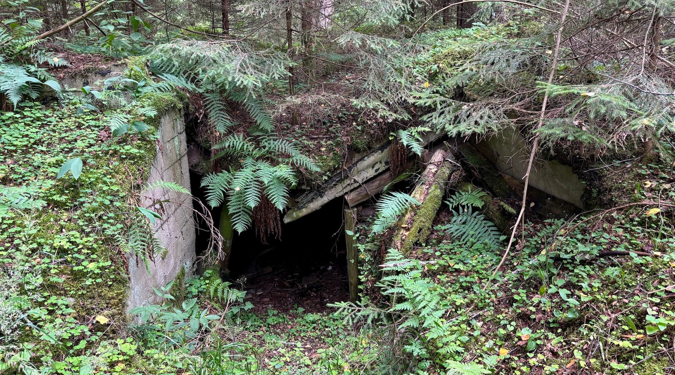 Planned German Military Base in Lithuania Sparks Concerns Over Jewish Memorial Site