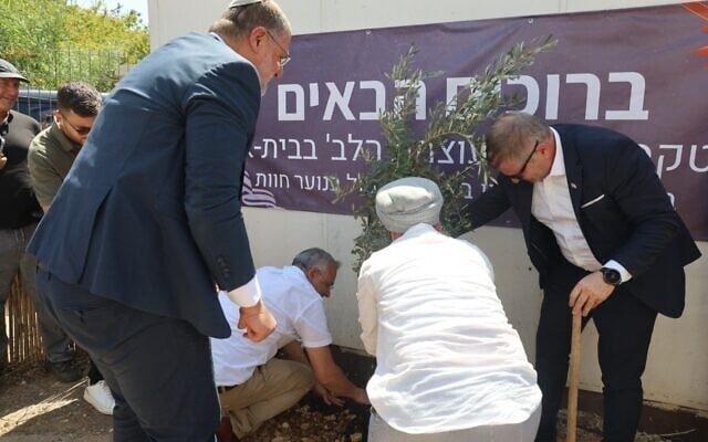 תמונת סיקור