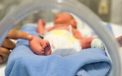 Illustrative photo of a premature baby in an ICU incubator. (Pixelistanbul via iStock)