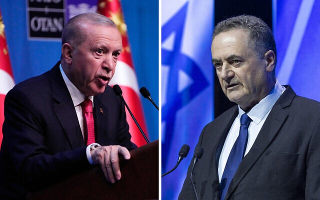 Turkish President Recep Tayyip Erdogan (L), and Israeli Defense Minsiter Israel Katz. (AP Photo/Hussein Malla, Oren Ben Hakoon/Flash90)
