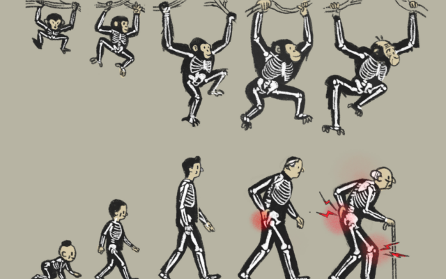 Illustrator Itai Raveh’s free interpretation of Rudolph Zallinger’s iconic 1965 illustration of human evolution, popularly known as 'March of Progress.' (Courtesy/Weizmann Institute of Science)