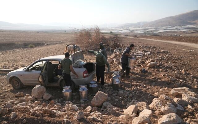 Palestinian farmers unload containers of milk produced by their livestock for transfer to a vehicle on their way to sell it, near a trench dug by the Israeli army in a road leading to the West Bank hamlet of Khirbet Ras al-Ahmar, southeast of Tubas, September 19, 2026. (AP Photo/Majdi Mohammed)