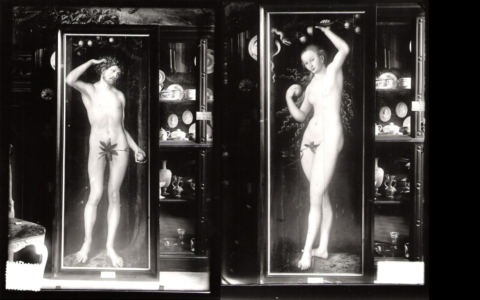 Black and white photographs of the Adam and Eve Diptych painted by Lucas Cranach the Elder. (Goudstikker/von Saher archive)