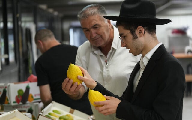 Jews shop at a “Four Species” market in the northern Israeli city of Kiryat Shmona, as the market operates again after two years of inactivity due to the war, ahead of the Jewish holiday of Sukkot, September 24, 2026. (Ayal Margolin/Flash90)