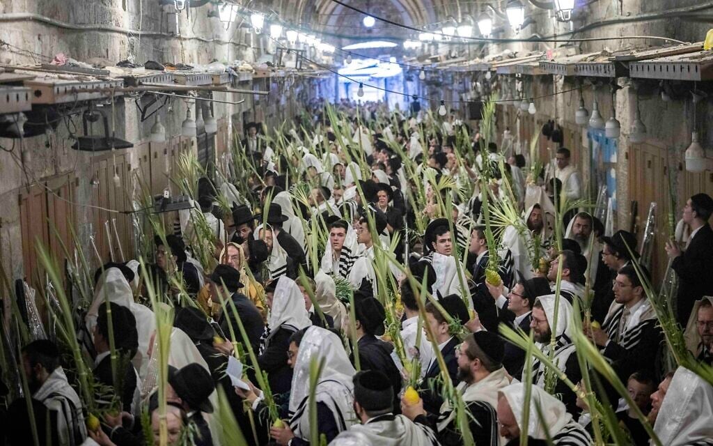 Jewish men covered in prayer shawls hold the Four Species as they take part in morning prayers during the holiday of Sukkot at the entrance to the Temple Mount in Jerusalem’s Old City, September 27, 2026. (Chaim Goldberg/Flash90)