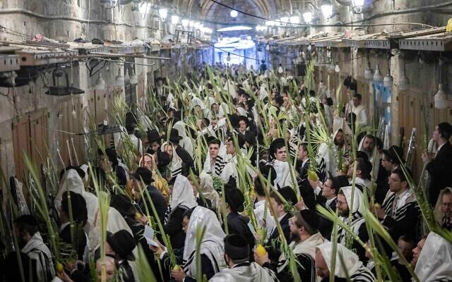Jewish men covered in prayer shawls hold the Four Species as they take part in morning prayers during the holiday of Sukkot at the entrance to the Temple Mount in Jerusalem’s Old City, September 27, 2026. (Chaim Goldberg/Flash90)