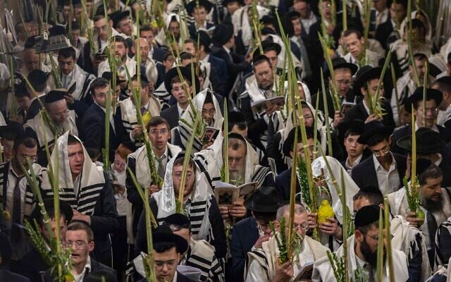 Jewish men covered in prayer shawls hold the Four Species, palm, citron, myrtle and willow as they take part in Shaharit morning prayers during the Jewish holiday of Sukkot, at the entrance to the Temple Mount in Jerusalem’s Old City, September 28, 2026. (Chaim Goldberg/Flash90)