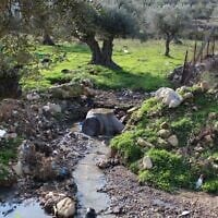 Sewage flows in Wadi al-Eish near Tulkarm, in the northern West Bank, in early 2026. (Green Now)
