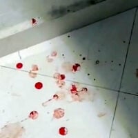 Screen capture from video purporting to show blood splattered on the floor of a home in the West Bank village of Talfit after an alleged settler attack, October 13, 2026. (X: used in accordance with Clause 27a of the Copyright Law)