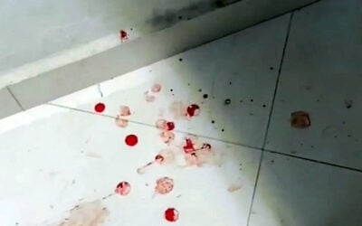 Screen capture from video purporting to show blood splattered on the floor of a home in the West Bank village of Talfit after an alleged settler attack, October 13, 2026. (X: used in accordance with Clause 27a of the Copyright Law)