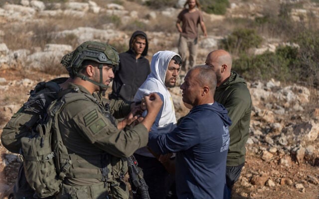 A Palestinian man is arrested by Israeli soldiers during the olive harvest in West Bank village of Deir Abu Mashal on October 19, 2026. (ilia YEFIMOVICH/AFP)