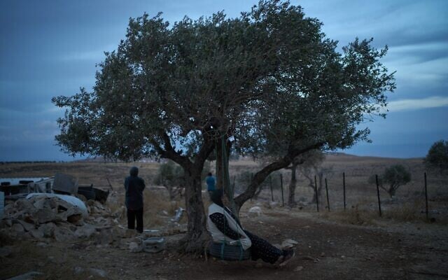 A woman from the Palestinian Bedouin Kaabneh family swings under an olive tree as Israeli settlers move outside her house on the outskirts of the West Bank town of Taybeh, October 1, 2026. (AP Photo/Leo Correa)