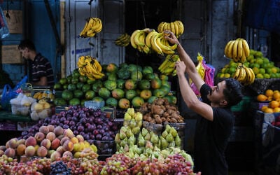 A Palestinian vendor arranges fruit at a market in the Al-Shati refugee camp in Gaza City, October 14, 2026. (AP Photo/Abdel Kareem Hana)