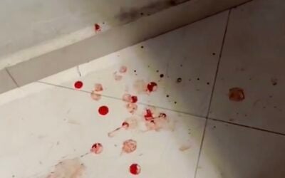 Screen capture from video purporting to show blood splattered on the floor of a home in the West Bank village of Talfit after an alleged settler attack, October 13, 2026. (X: used in accordance with Clause 27a of the Copyright Law) Screen capture from video purporting to show blood splattered on the floor of a home in the West Bank village of Talfit after an alleged settler attack, October 13, 2026. (X: used in accordance with Clause 27a of the Copyright Law)