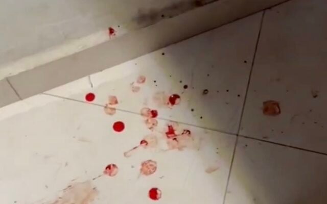 Screen capture from video purporting to show blood splattered on the floor of a home in the West Bank village of Talfit after an alleged settler attack, October 13, 2026. (X: used in accordance with Clause 27a of the Copyright Law)