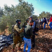 Israeli security forces remove Palestinians and left-wing activists from olive groves during the olive harvest season in the West Bank village of Beita, near Nablus, October 2, 2026. (Flash90)