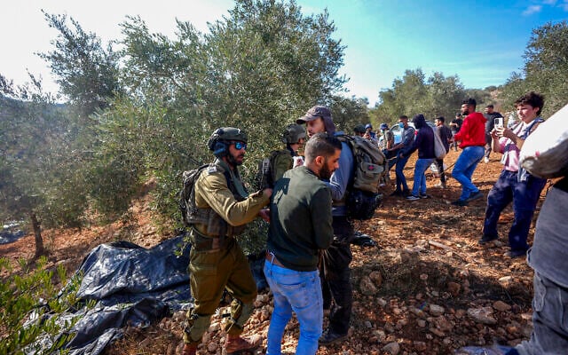 Israeli security forces remove Palestinians and left-wing activists from olive groves during the olive harvest season in the West Bank village of Beita, near Nablus, October 2, 2026. (Flash90)
