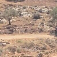 Settlers are filmed stealing from Palestinian olive trees as IDF soldiers look on in the central West Bank village of al-Mughayyir on October 1, 2026. (Screen capture/X)