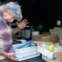 Greg Kirkpatrick shows how large he grows some etrogs during a pre-Sukkot delivery to Renewal synagogue Chochmat HaLev in Berkeley, California, Sept. 22, 2026. (Aaron Levy-Wolins/J. Staff/Report For America via JTA)