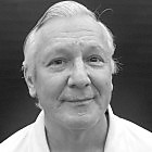 David E. Weisberg