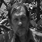 Dov Ivry